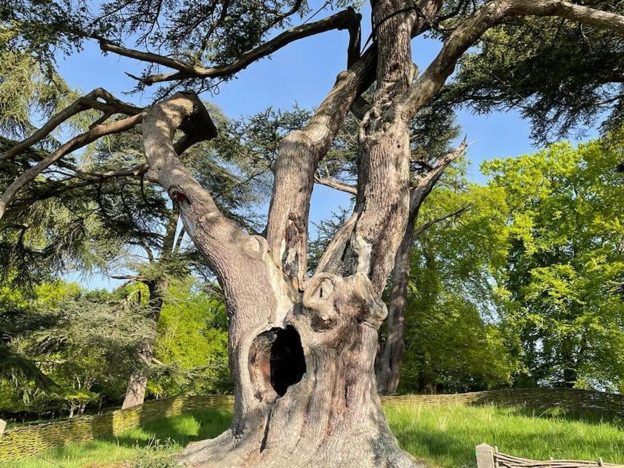 Masons Cottage, An Idyllic Retreat In An Area Of Outstanding Beauty, Close To Blenheim Palace, Oxford & The Cotswolds Stonesfield Ngoại thất bức ảnh